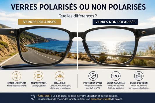# Verres polarisés ou non polarisés : quelles différences ?